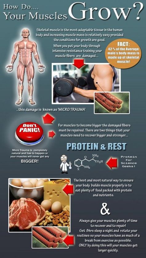 how do your muscle grow Info Board, Building Muscle, Muscle Building, Muscle Growth, Muscle Fitness, Sports Nutrition, Gain Muscle, Fitness And Health, Work Outs