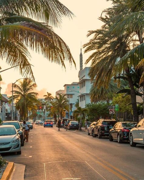 Miami Beach Photography, Miami Aesthetic, Miami Street, Miami Photography, Florida Aesthetic, Miami Vibes, Miami City, World Most Beautiful Place, Miami Travel