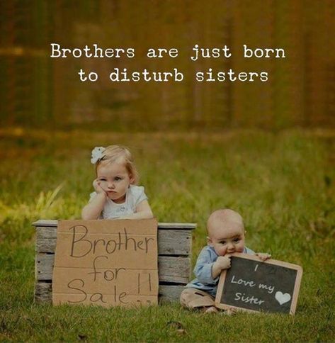 Brothers are just born to disturb sisters. Brother Sister Quotes Funny, Best Brother Quotes, Brother N Sister Quotes, Brother Sister Love Quotes, Siblings Funny Quotes, Sibling Quotes, Sister Love Quotes, Siblings Funny, Sister Quotes Funny