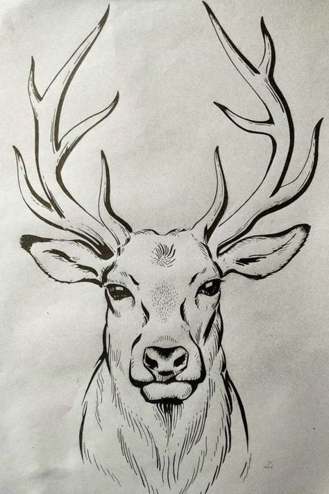 Wild Drawing Ideas, Realistic Deer Drawing, Pencil Drawings Of Animals Easy, Hunting Drawings Easy, Easy Animal Drawings Sketches, Easy Animal Drawings Simple, Pencil Drawing Inspiration Easy, Dear Sketch, Horse Drawings Easy