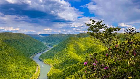 West Virginia Hiking, New River Gorge National Park, Beach Road Trip, New River Gorge, Float Trip, The Gorge, Forest Trail, Adventure Vacation, Whitewater Rafting