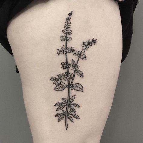 Basil Leaves Tattoo, Thai Basil Tattoo, Basil Flower Tattoo, Basil Leaf Tattoo, Angelica Tattoo, Basil Tattoo, Herb Tattoo, Lines Tattoo, Tattoo 2024