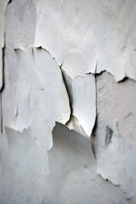 Decay by ~Lilino Growth And Decay, Peeling Paint, Material Textures, Materials And Textures, Abandoned Buildings, Pattern Texture, White Texture, Shades Of White, Surface Textures