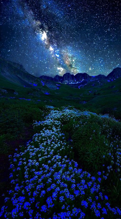 Star Pictures Night Aesthetic, Sky Blue Flowers Aesthetic, Majestic Sky Pictures, Amazing Nature Photography Real Heavens, Star Pictures Night, Flowers At Night Aesthetic, Blue Landscape Aesthetic, Blue Celestial Aesthetic, Space Aesthetic Background