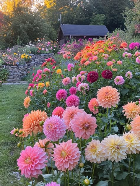 Garden Flower Inspiration, Garden With Flowers Ideas, Pretty Flowers Garden, Floral Garden Landscape, Flowers For Fairy Garden, Modern Garden With Flowers, Flower Garden At Home, Cottage Core Flower Garden, Wildflowers Front Yard