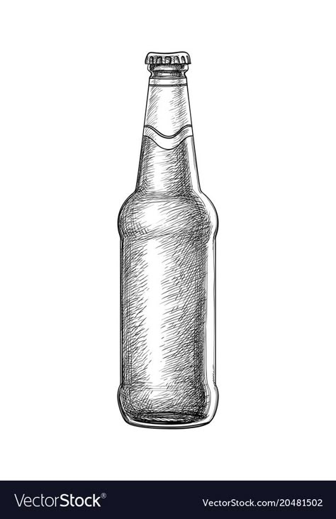 Beer Bottle Sketch, Beer Bottle Illustration, Beer Sketch, Beer Bottle Drawing, Bottle Sketch, Beer Bottle Art, Beer Drawing, Hatch Drawing, Bottle Vector