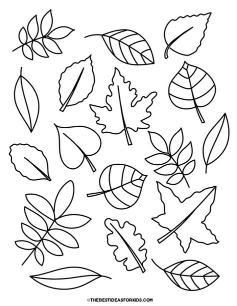 Leaf Variety Coloring Page Leaf Shapes Template Free Printable, Leaf Matching Free Printable, Printable Leaf Patterns, Fall Leaves Template Free Printable, Simple Leaf Drawing, Leaves Template Free Printable, 3d Paper Animals, Paint Samples Crafts, Leaves Coloring Pages