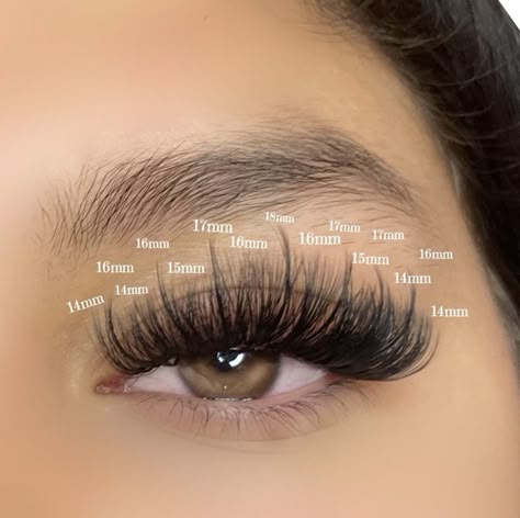 Long Eyelashes Extensions, Dolly Lash Mapping, Lash Sets With Mapping Volume, Round Eye Eyelash Extensions, Hybrid Wispy Eyelash Extensions Doll Eye, Doll Eye Wispy Lash Extensions, Wispy Lashes Mapping Clusters, Wispy Volume Lash Extensions Doll Eye, Dolly Eyelash Extension