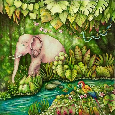 #magicaljungle #johannabasford #prismacolor #triplusfineliner Cherry Lee, Magic Jungle, Jungle Coloring Pages, Magical Jungle Johanna Basford, Johanna Basford Books, Joanna Basford Coloring, Colouring Inspiration, Magical Jungle, Joanna Basford