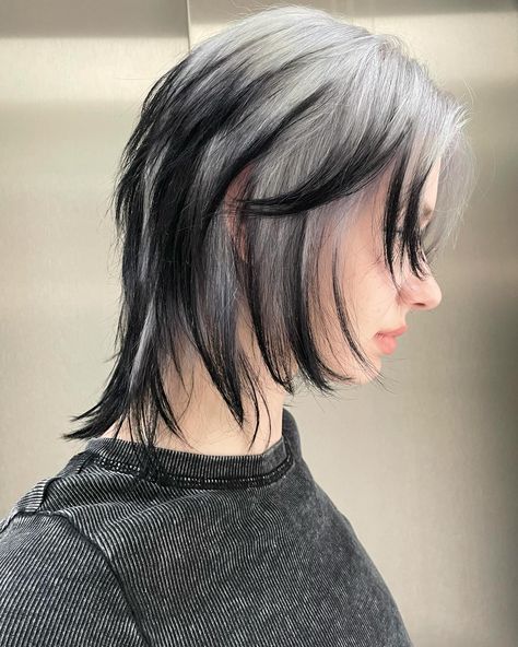 Haircut + silver color + black tips = @3liksir Black Hair Silver Tips, Silver Colored Hair, Silver To Black Hair, Colour Short Hair Ideas, White With Black Hair, Silver Hair With Black Tips, Black And Silver Short Hair, Hair Dye Black And Blonde, Black Hair White Tips