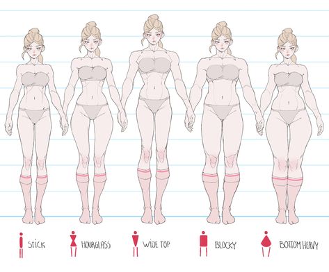 Body Type Drawing, Body Drawing Tutorial, Human Anatomy Art, Body Reference Drawing, Figure Drawing Reference, Body Drawing, Female Body, Anatomy Reference, Anatomy Art