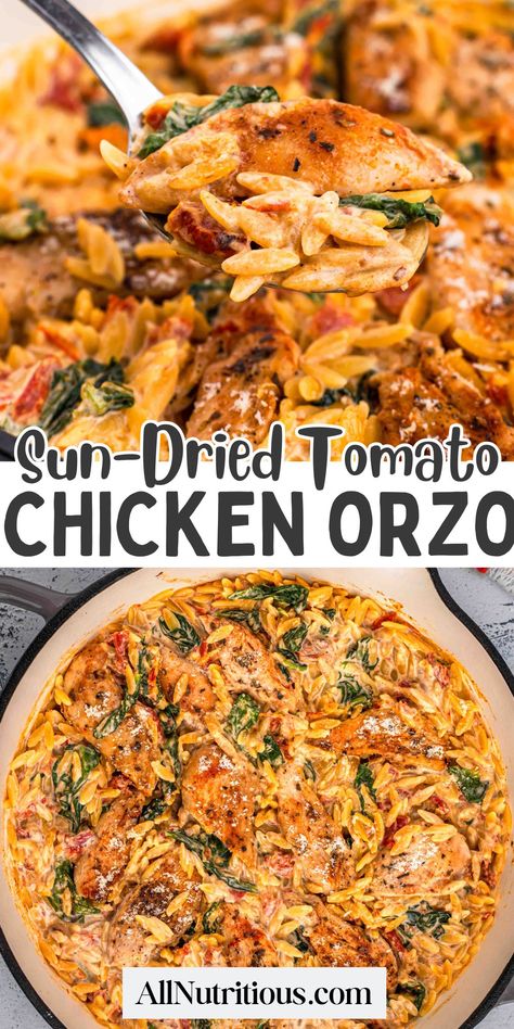 Creamy Sun-Dried Tomato Chicken Orzo Chicken Orzo Skillet With Sun-dried Tomatoes, Easy Group Recipes, Chicken Orzo With Sundried Tomato, Easy Recipes Dinner Dairy Free, Best High Protein Dinners, Creamy Sun Dried Tomato Chicken Orzo, Chicken Spinach Tomato Orzo, Chicken Orzo One Skillet, Creamy Sundried Tomato Chicken Orzo