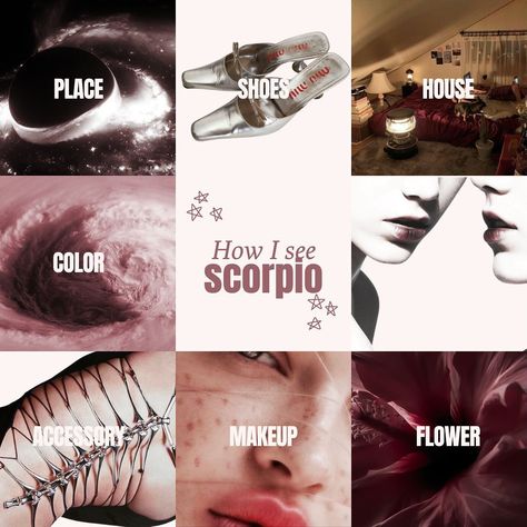 How I see the zodiac pt 1/2 🌷🌷🌷 Layout inspired by @fleure.sombre and @cobblestonethoughts latest how Pinterest sees… Scorpio Sun Aesthetic, Scorpio Core, Zodiac Mind Scorpio, Scorpio Szn, Zodiac Quotes Scorpio, Lady Scorpio, Taurus And Aquarius, Sun Aesthetic, Scorpio Zodiac Facts