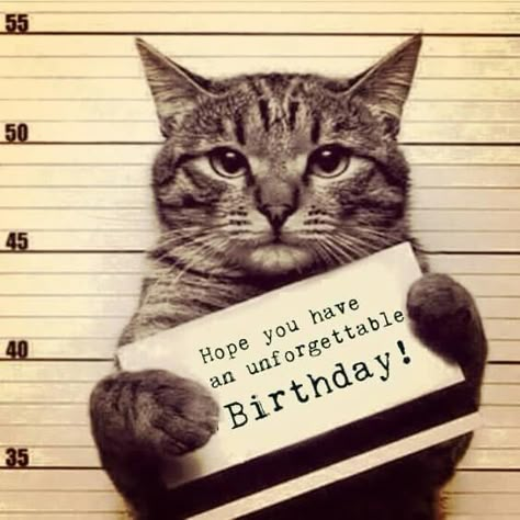 Birthday wishes ￼ ￼ ￼ ￼ ￼ ￼ ￼ ￼ ￼ ￼ ￼ ￼ ￼ ￼ ￼ Belated birthday wishes ￼ ￼ Belated Birthday Meme, Funny Belated Birthday Wishes, Belated Birthday Funny, Cat Birthday Memes, Belated Birthday Messages, Belated Happy Birthday Wishes, Cat Birthday Funny, Cat Happy Birthday, Happy Birthday Memes