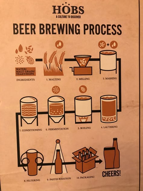 beer process Craft Beer Advertising, Home Brewery Design, Brewery Mural, Bartending Basics, Beer Knowledge, Beer Making Process, Beer Production, Beer Brewing Process, Beer Facts