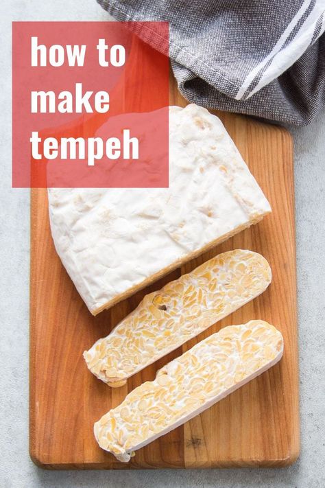 Everything you ever wanted to know about tempeh but were afraid to ask! Today we’re covering the basics: what is tempeh, how to cook it, where to buy it, and even how to make it. #veganfood #tempeh #guides #diy #howto What Is Tempeh, How To Make Tempeh, Tempeh Recipes, Fermentation Process, Gluten Free Egg Free, Diy Pantry, Science Activity, Soy Protein, Best Vegan Recipes