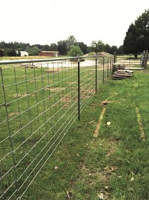 FARM SHOW Magazine: 2012 -  Volume 36 Issue 2 Page 3 T Post Dog Fence, Cheapest Way To Build A Fence, Cheapest Fence Ideas, T Post Fence, Terrell Texas, Shop Hacks, Farming Tractors, Livestock Fence, Agriculture Equipment