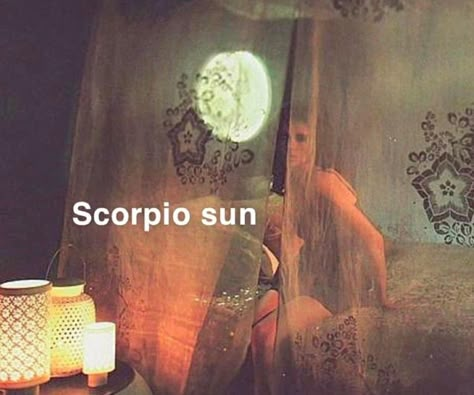 Scorpio Sun Aesthetic, Scorpio Child, Cap Rising, Scorpio N, Who Rule The World, Art Inspiration Quotes, Zodiac Mind Scorpio, Chloe Core, Scorpio Aesthetic