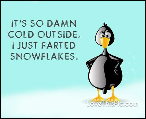 So cold funny quotes quote winter snow humor Cold Funny Pictures, Too Cold Humor, Cold Outside, Cold Weather Funny Humour, Funny Winter Sayings, Too Cold Humor Winter, Freezing Cold Reaction Pic, It’s Cold Outside Funny, Cold Meme Funny Winter