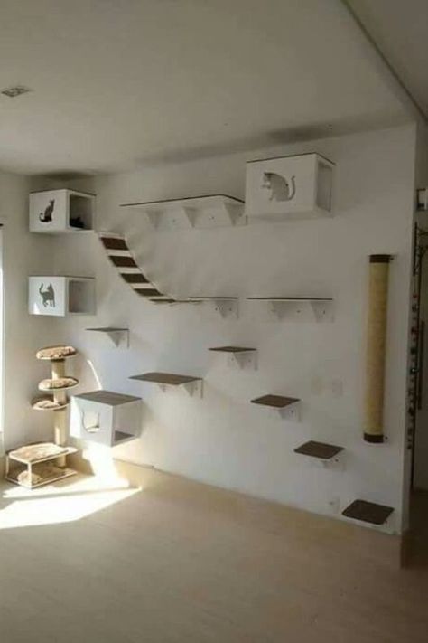 Cat Wall Furniture Design, Cat Walls Diy, Cat Super Highway, Cat Jungle Gym Wall, Diy Cat Wall Shelves, Cat Area In House, Cat Corner Ideas, Cat Bedroom Ideas, Cat Bedroom Decor