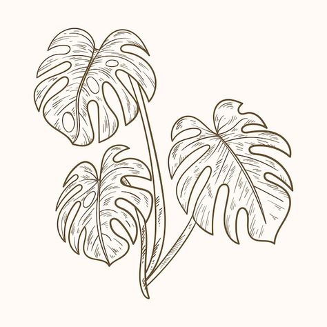 Tropical Plant Line Art, Monstera Line Drawing, Monstera Drawn, Monstera Plant Sketch, Monstera Leaves Drawing, Cheese Plant Tattoo, Plant Leaves Drawing, Monstera Leaf Outline, Monstera Leaf Drawing