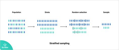 Stratified Sampling | A Step-by-Step Guide with Examples Systematic Sampling, Wage Gap, Plagiarism Checker, Confidence Level, Doctorate Degree, Standard Deviation, When You Believe, Marital Status, Data Collection