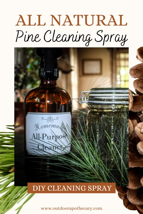 This DIY all-natural pine cleaning spray is perfect for your home as well as a seasonal host/ess gift. Wild pine needles are naturally anti-microbial and antiviral, making them the perfect choice for this cleaning product. Pine Cleaner, Pine Needle Oil, Homemade All Purpose Cleaner, Diy Cleaning Spray, Amber Spray Bottle, Diy Cleaning Recipes, Vinegar Cleaner, Pine Essential Oil, Pine Oil