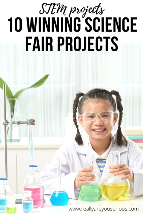 Engineering Science Fair Projects, 1st Grade Science Fair, Stem Fair Projects, Kindergarten Science Fair Projects, Science Fair Topics, Winning Science Fair Projects, Middle School Science Fair Projects, High School Science Fair Projects, High School Science Fair