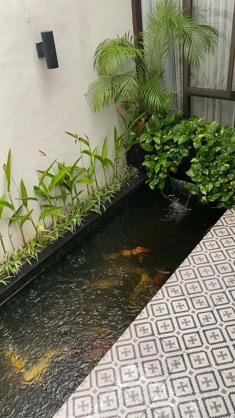 Balcony Fish Pond Ideas, Small Atrium Ideas, Small Fish Pond Ideas, Garden Fish Pond Ideas, Jardin Zen Interior, Small Fish Pond, Fish Ponds Backyard, Small Backyard Garden Design, Fish Pool