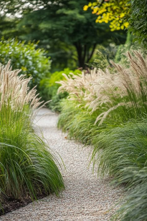 "Transform your landscape with ease by planting ornamental grasses! 🌾✨ These low-maintenance beauties add texture, movement, and year-round interest to any garden or outdoor space. Perfect for creating natural borders, adding height, or filling in empty spots, ornamental grasses are versatile and resilient. Discover the many benefits of incorporating these graceful plants into your landscape. 🌿🏡 #OrnamentalGrasses #LandscapeDesign #GardenBeauty #LowMaintenanceGardening" Garden With Grasses, Small Grass Garden, Wild Grasses Landscaping, High Grass Garden, Side Garden Design, Grass Planting, Sea Grass Landscaping, Garden Grasses, Front Yard No Grass Ideas