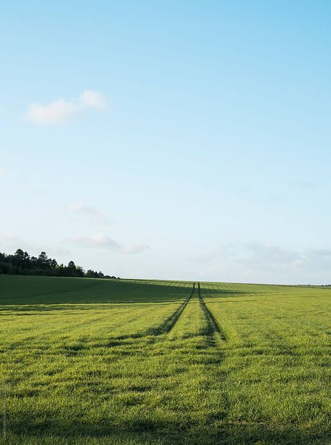 Open Field Photography, Vr Background, Green Field Aesthetic, Headless Angel, 1917 Poster, Imagine Heaven, Paradise Aesthetic, Cloudy Landscape, Farm Background