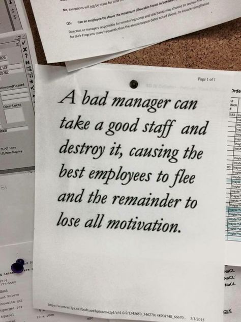 A bad manager can take a good staff & destroy it, causing the best employees to flee & the remainder to lose all motivation. Bad Manager Quotes, Bad Boss Quotes, Work Environment Quotes, Employee Quotes, Bad Managers, Environment Quotes, Workplace Quotes, Manager Quotes, Job Quotes