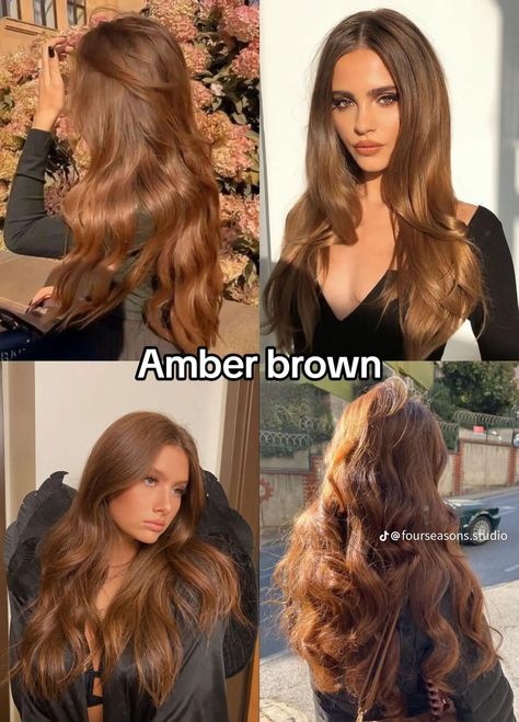 Hair Colors For Warm Undertones, Amber Brown Hair, Amber Hair Colors, Best Fall Hair Colors, Hair Colors To Try, Warm Brown Hair, Amber Hair, Color Seasons, Golden Brown Hair