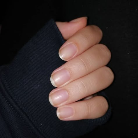 Healthy Short Nails, Healthy Nails Natural, Natural Nail Shapes, Short Natural Nails, Nail Strengthening, Split Nails, Bare Nails, Plain Nails, Nail Salon Design