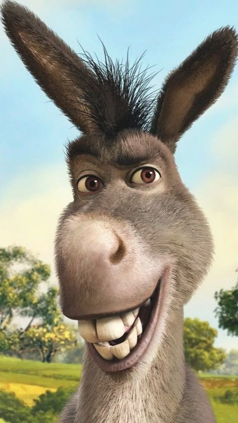 I chose a picture of Donkey from ‘Shrek’ because he is very chatty and annoys the impatient ogre with his remarks. Donkey From Shrek, Image Joker, Shrek Donkey, Male Cartoon Characters, ملصق ديني, Cartoon Wallpaper Hd, Character Pictures, Cartoon Character Pictures, Pinturas Disney