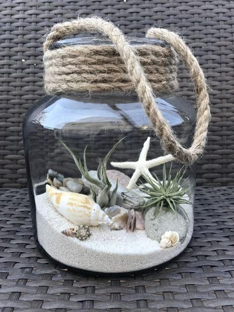 Air Plants Diy, Strand Decor, Toples Kaca, Deco Marine, Seashell Projects, نباتات منزلية, Sand And Sea, Shell Crafts Diy, Beach Ideas