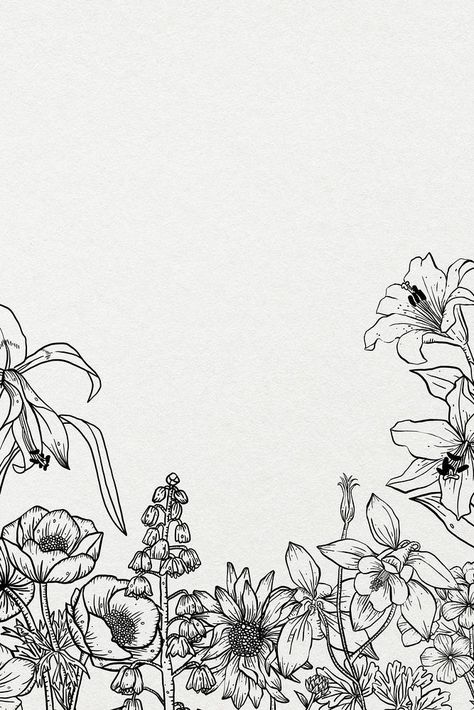 Flower Line Drawing Botanical Illustration, Wildflower Border Drawing, Wild Flowers Line Drawing, Black And White Floral Illustration, Wildflower Frame Drawing, Wildflowers Black And White, Floral Website, Eid 2024, Black And White Border