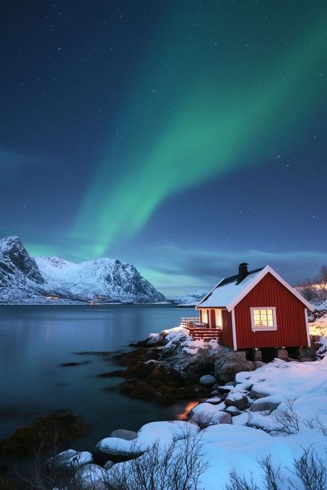 "🌌❄️ Marvel at the Northern Lights dancing across the sky in Norway! A magical display of nature’s most spectacular light show. 🌠🇳🇴 #NorthernLights #AuroraBorealis #NorwayAdventure" Northern Lights In Norway, Northern Lights Norway, The Northern Lights, Romantic Getaways, Light Show, Travel Bucket List, Aurora Borealis, The Sky, Norway