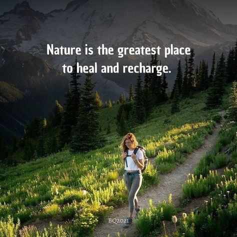 Nature Quotes Beautiful, Nature Quotes Inspirational, Cute Images With Quotes, The Camino, Quotes About Photography, Wise Words Quotes, Morning Inspirational Quotes, Bff Quotes, Quotes And Notes