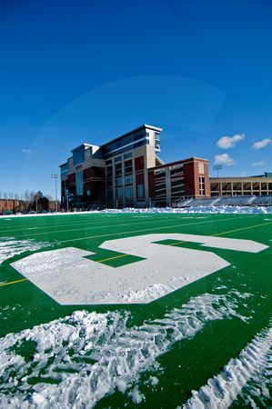 Msu Aesthetic, Spartan Race Aesthetic, Msu Sparty, Msu Spartans Aesthetic, College Football Stadiums, Msu Spartans Logo, East Lansing Michigan, Michigan State Spartans Wallpaper, Michigan State University Campus