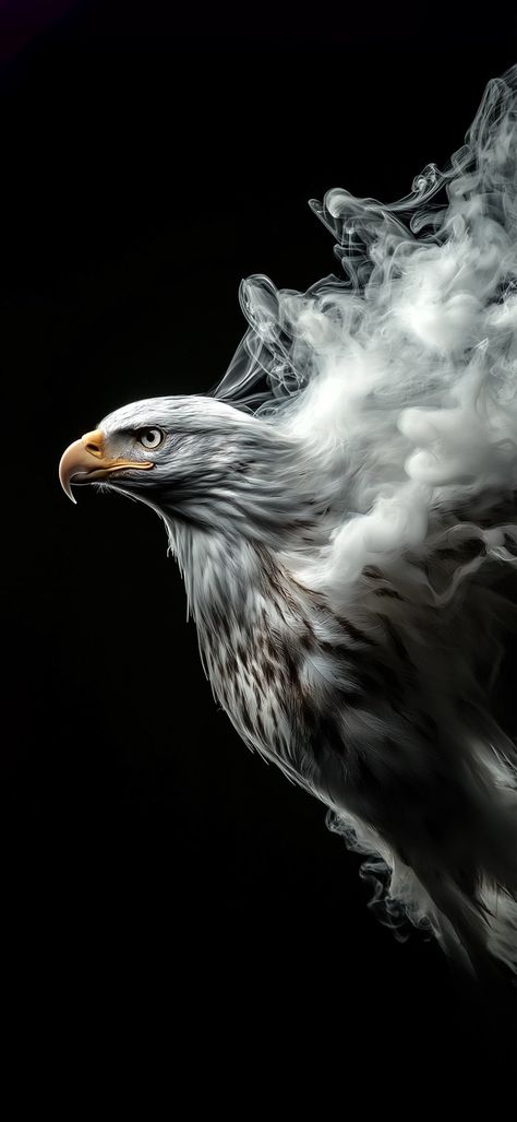 Flying Eagle Photography, Eagle Wallpaper Hd, Iphone Wallpaper Travel, Flag Pictures, White Black Background, King Wallpaper, Iphone Wallpaper Clock, Eagle Artwork, Wallpaper Travel