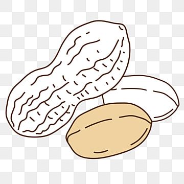 line drawing,nut,snacks,food,peanut,line draft Peanut Line Drawing, Peanut Drawing Food, Cute Peanut Drawing, Nuts Drawing, Peanut Drawing, Nut Drawing, Pea Drawing, Peanut Art, Wing Drawing