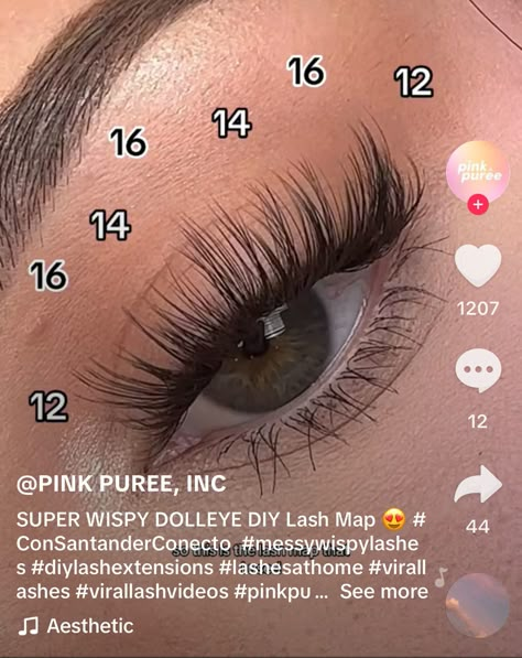 Doll Eye Lash Cluster Map, Lashes Extensions Mapping, Lash Map Doll Eye, Baby Doll Lashes, Lash Cluster Mapping Styles, Eyelash Maps, Eyelash Extensions Ideas, Lashes Mapping, Cluster Map