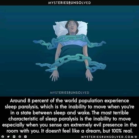 Paranormal Facts, Facts About Dreams, Physcology Facts, School Life Quotes, Wierd Facts, Psychological Facts Interesting, About Dreams, Interesting Science Facts, Stages Of Sleep