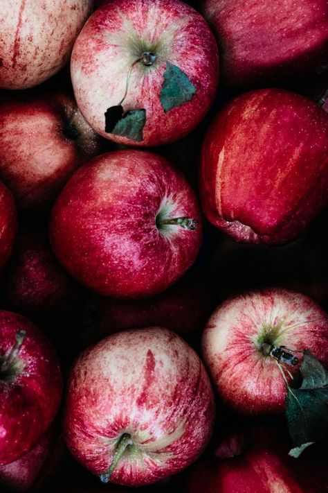 How to Preserve Apples | TENDING the TABLE Preserving Apples, Apples Photography, Fall Vegetables, Healthy Recipes Easy Snacks, Fruit Photography, Colorful Life, Apple Fruit, Healthy Snacks Easy, Flowers Wallpaper