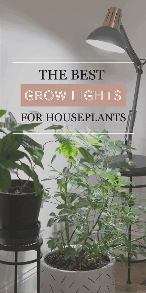 The Best Grow Lights For Your Houseplants - The Healthy Houseplant Houseplant Grow Light, Decorative Grow Lights For Houseplants, Grow Lights For Houseplants, Indoor Plant Lights, Indoor Grow Lights, Best Grow Lights, Grow Light Bulbs, Plant Mama, Grow Lamps