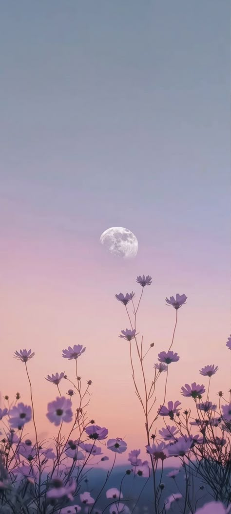 Profile Picture Aesthetic Flower, Purple Aesthetic Flowers Wallpaper, Simple Floral Wallpaper Iphone, Iphone Lockscreen Widget Ideas, Iphone 15 Plus Wallpaper Aesthetic, Violet Sky Aesthetic, Girly Spring Wallpaper Iphone, Lilac Aesthetic Wallpaper Iphone, Spring Scenery Drawing