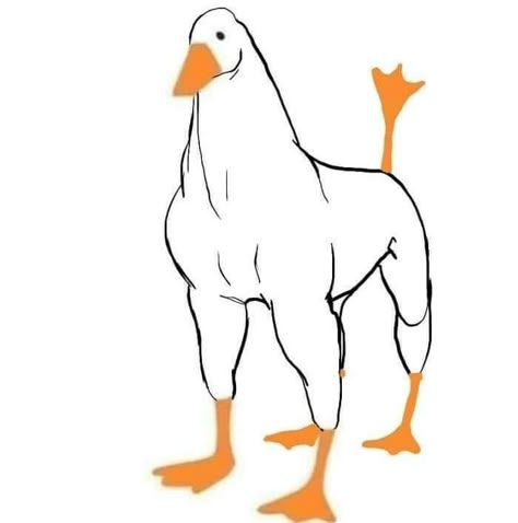 Draw A Duck, Funny Ducks, Duck Memes, Untitled Goose Game, Goose Game, Duck Stuff, Duck Drawing, Ducks And Geese, Duck Duck Goose