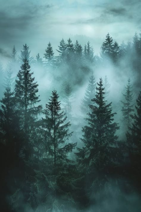 Misty foggy forest, fir mountains, natural mist landscape, dark woods view, mystery clouds on pine trees stock images Misty Nature Aesthetic, Foggy Woods Painting, Foggy Forest Painting, Misty Forest Painting, Misty Pine Forest, Mist Landscape, Foggy Woods, Mist Forest, Foggy Trees