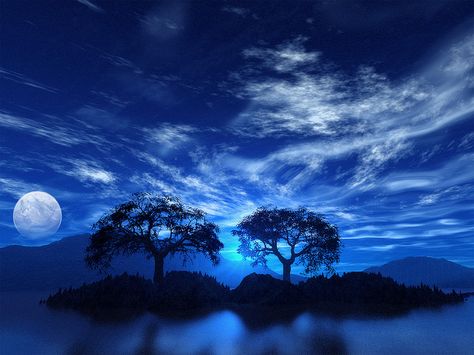 They say a picture is worth a thousand words, this one is worth ten thousand... Weather Phenomenon, Shelf Cloud, Bozeman Montana, Two Trees, Oct 1, Feeling Blue, The Night Sky, Photography Wallpaper, Love Blue